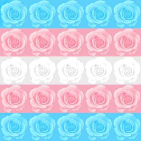 transgender-flag